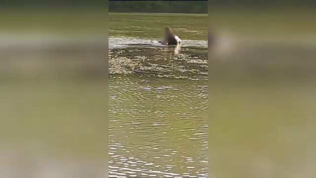 O bătrână a fost salvată în ultima clipă, după ce s-a aruncat în râul Argeș. Ea nu și-a putut explica gestul