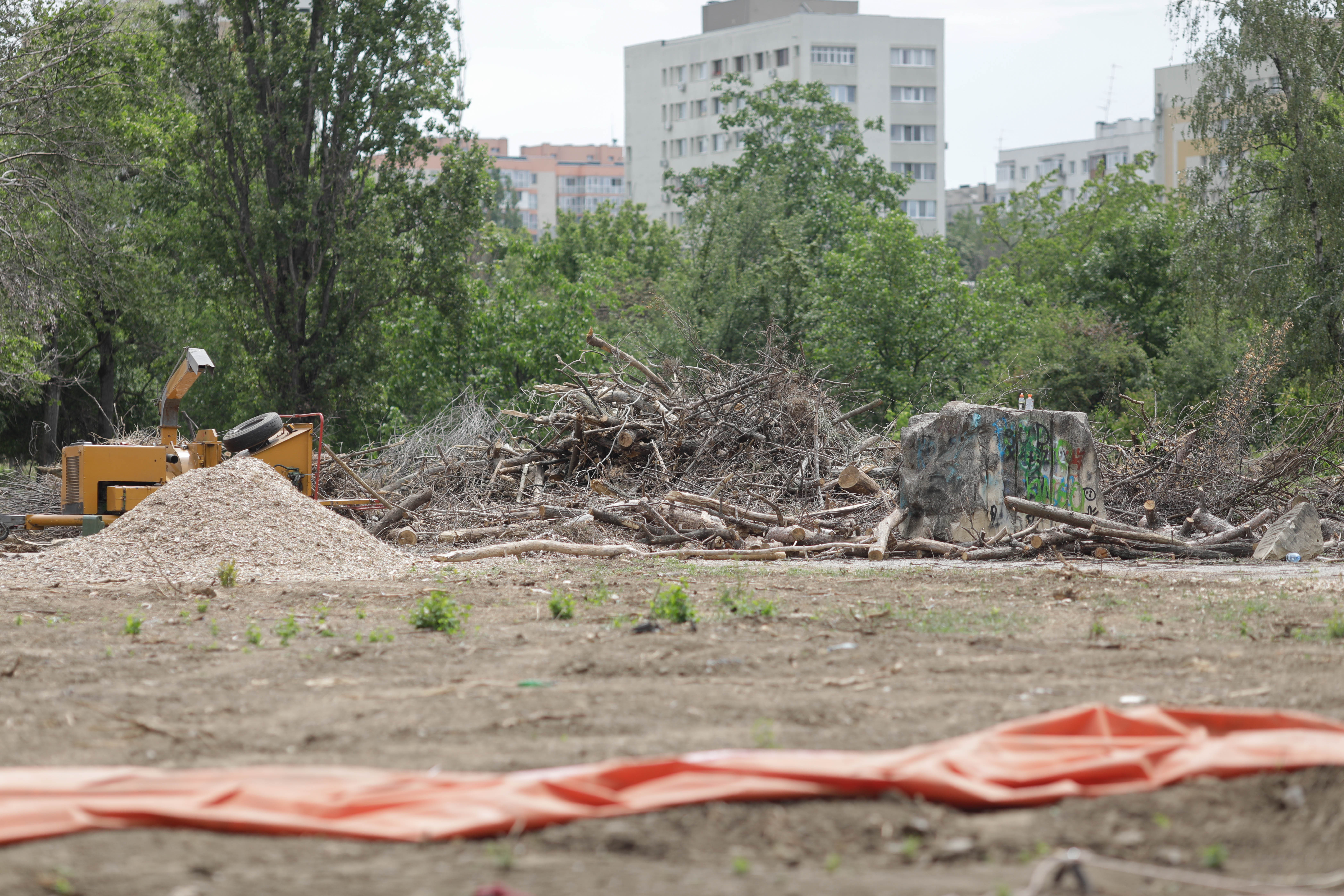 Deputații PSD-PNL dau înapoi, după protestele privind controversata Lege a spațiilor verzi, considerată un ”atentat la mediu”