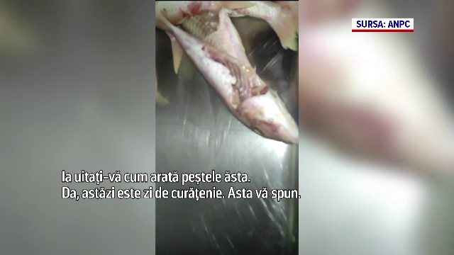 Imagini greu de digerat într-un restaurant din Costinești. Protecția Consumatorilor a găsit mai multe nereguli