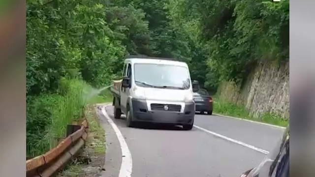 Imagini incredibile pe Transfăgărășan. Pasagerul mașinii unei companii de stat pulverizează un spray în botul unui urs