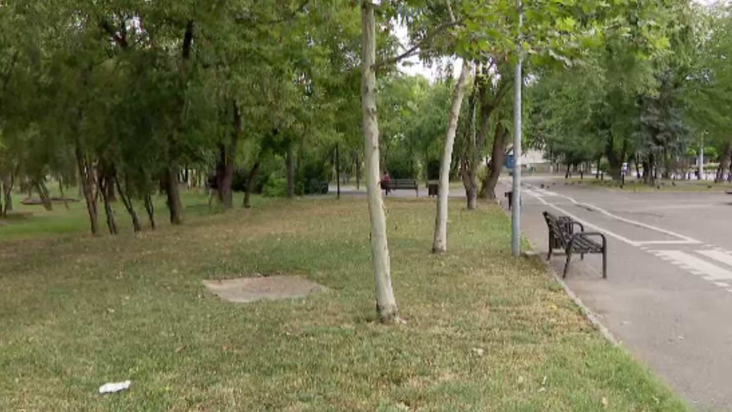 Proiectul legii spațiilor verzi, cale liberă pentru dezvoltatorii imobiliari să elimine parcurile