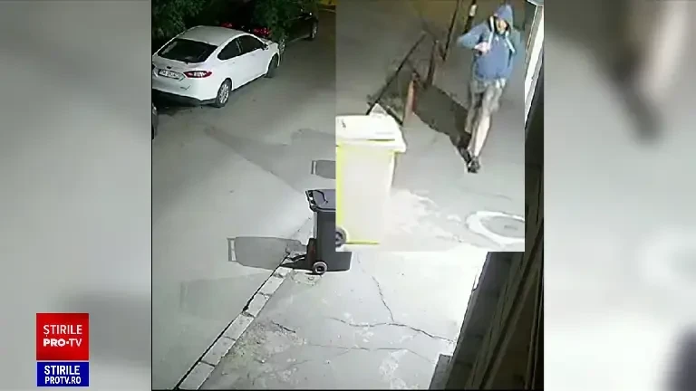 Portretul robot al ucigașului celor doi soți din Timișoara. I-a înjunghiat și a furat 12.000 de lei. Poliția cere ajutorul