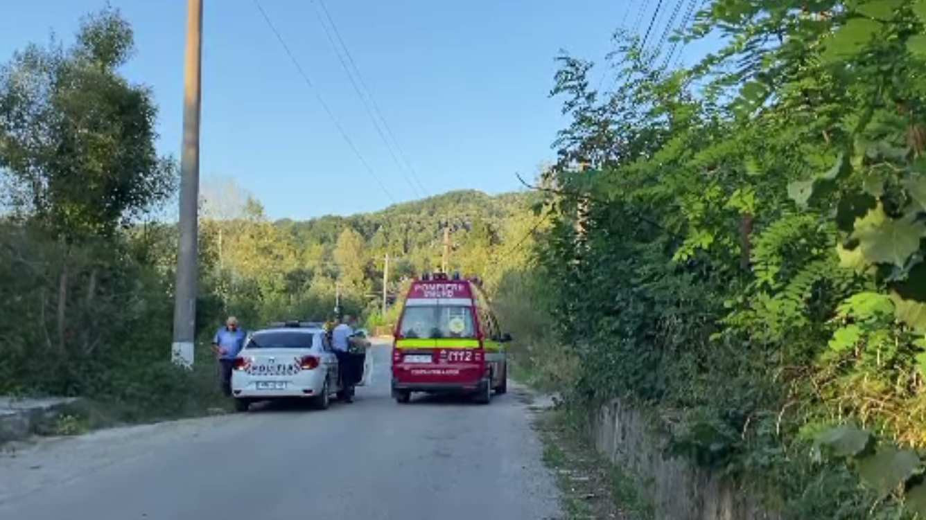 Un urs „cât o vacă” a rănit un bărbat din Argeș care mergea la serviciu. Atacul a avut loc pe un drum circulat