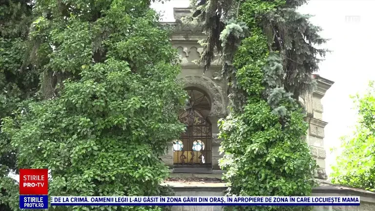 Lecție de istorie la Cimitirul Evreiesc din Alba Iulia. Voluntarii vor să restaureze pietrele funerare, vechi de 300 de ani