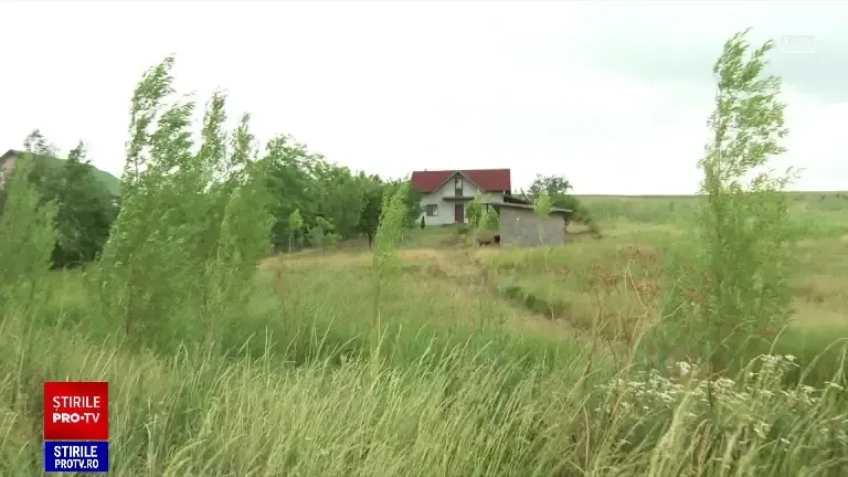 Un bărbat de 45 de ani a fost găsit mort pe marginea unui drum din județul Iași. Trupul omului era plin de răni