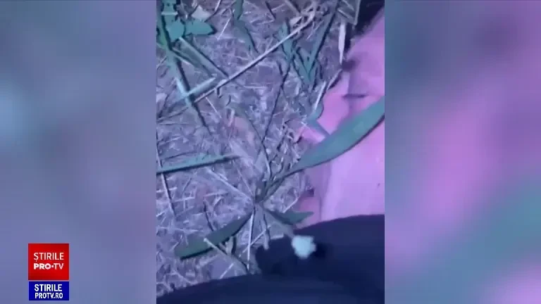 Unde era ucigașul celor doi bătrâni din Timișoara. ”Vă puteți gândi cum e să pierzi părinții, doi odată și în acest mod?”