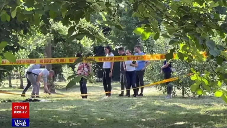 Meliss, fata de 14 care a fost înjunghiată în Craiova, a apucat să sune la 112. Ce i-a spus operatorului