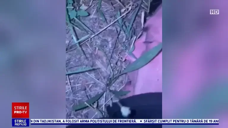 Individul care a ucis doi bătrâni din Timişoara a fost arestat preventiv. Ce au aflat oamenii legii