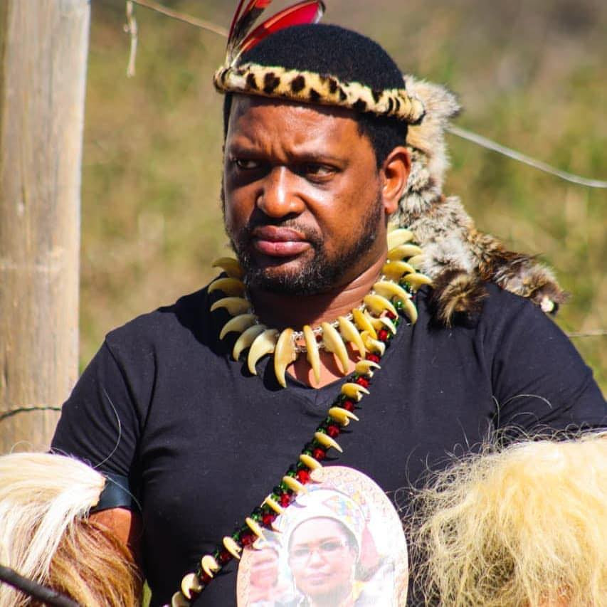 regele zulu