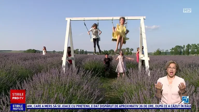 „Un loc minunat, unic, de unde nu ai vrea să mai pleci". Unde poți călători, în România, pentru a vizita un lan de lavandă