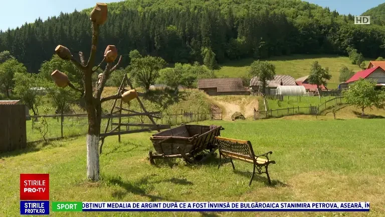 Turism ecologic la poalele Munților Ciucaș. Vama Buzăului a devenit un magnet pentru turiști