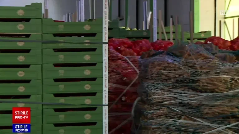 Ministerul Agriculturii promite să construiască 15 depozite regionale în principalele zone legumicole din țară