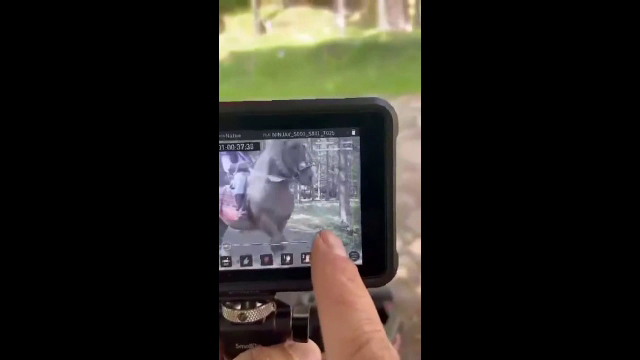 Tragedie la Putna. Un bărbat a murit strivit de propriul cal în timp ce filma un videoclip