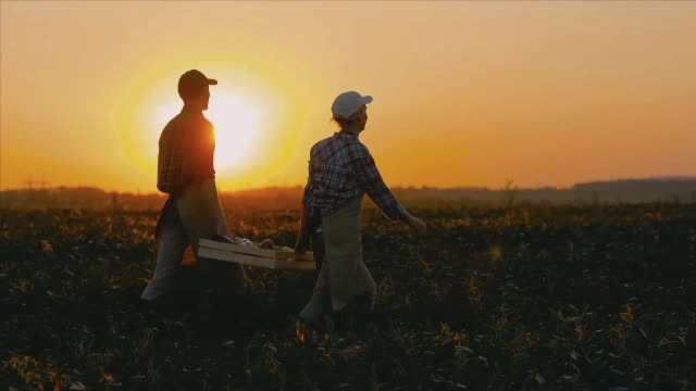 "Tânărul fermier". România are la dispoziție, în 2023, 100 de milioane de euro de la UE pentru tinerii agricultori