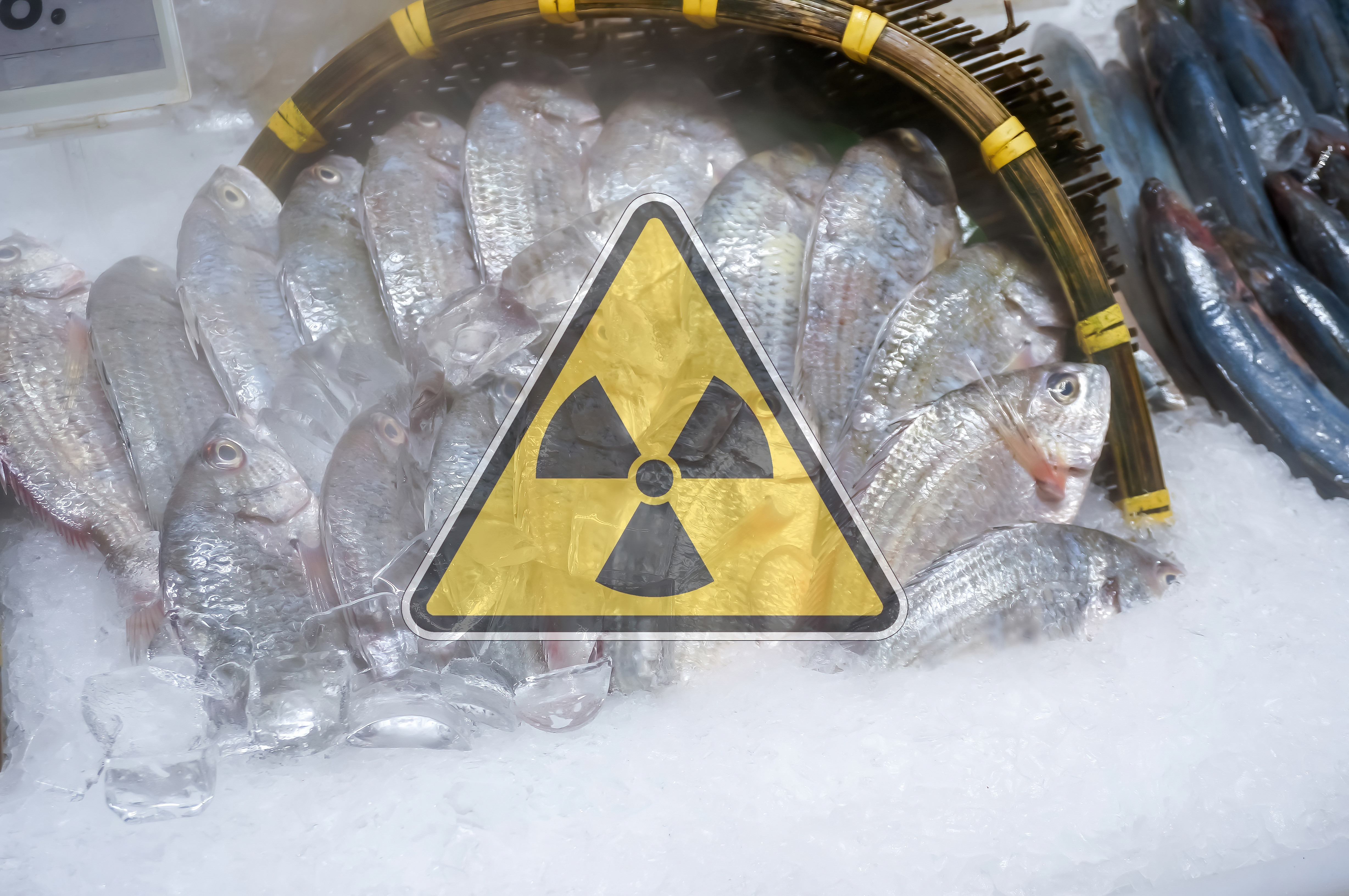 Japonia va începe să dea drumul în ocean la peste un milion de tone de apă radioactivă de la Fukushima