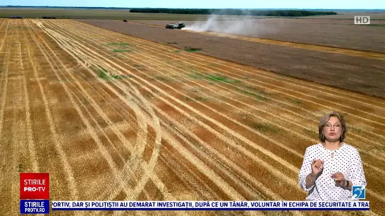 Recolta de grâu, îmbelșugată în vestul țării, dar săracă în est. Care este prognoza pentru acest an