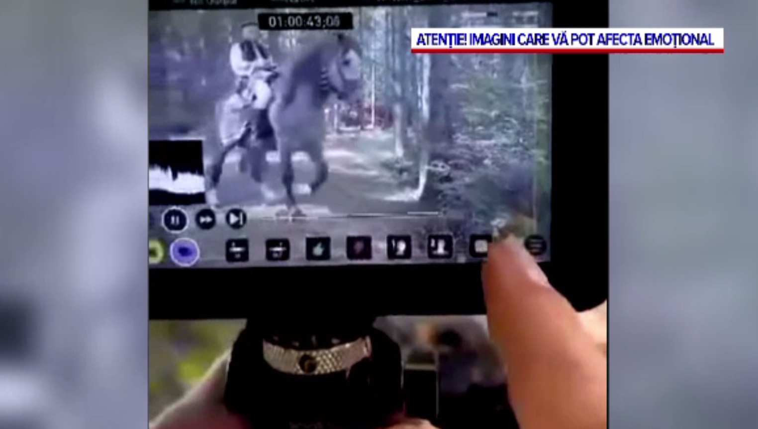 Tragedie la filmarea unui videoclip, în Suceava. Un cal s-a prăbușit peste călăreț și l-a ucis