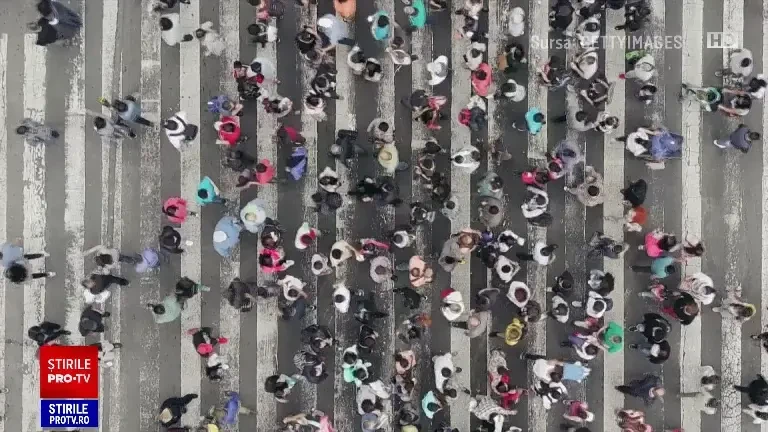 Aproximativ 30% dintre români și-au căutat un alt loc de muncă de la începutul anului. Care sunt cele mai căutate posturi