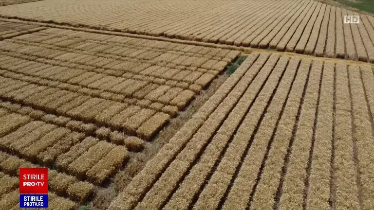 Comisia Europeană dă undă verde editării genetice. Plantele vor putea fi mai rezistente și mai productive