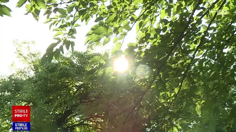 Hainele cu protecție solară, una din cele mai bune metode de a ne proteja de soare. Sfaturi pentru o piele sănătoasă