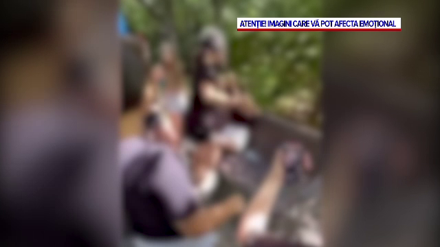 Fată de 13 ani, snopită în bătaie de trei adolescente, într-un parc. „Băieții făcuseră cerc în jurul lor și fetele o băteau”