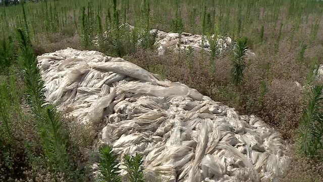 Ce găsesc tot mai mulți fermieri în pământ, atunci când ară. „Nimeni nu vrea să le ia nici gratis”