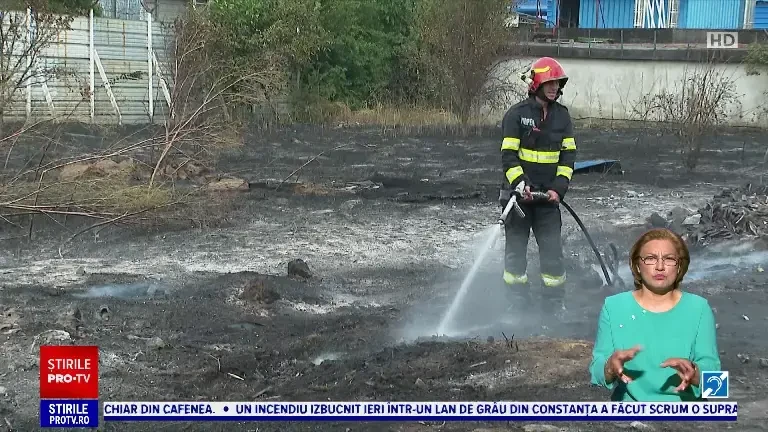 Incendiu pe un câmp din Constanța, extins rapid din cauza vântului. Flăcările au distrus patru autoturisme