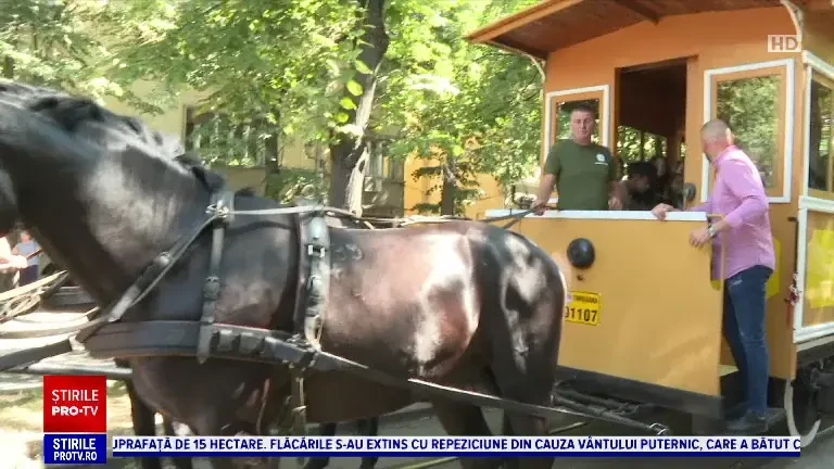 Tramvaiul cu cai a revenit pe traseu, în Timișoara, la 154 de ani de la prima sa cursă