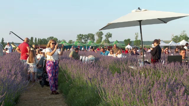 Localitatea din Spania invadată de turiști în căutarea fotografiei perfecte cu lavandă: apelul primarului