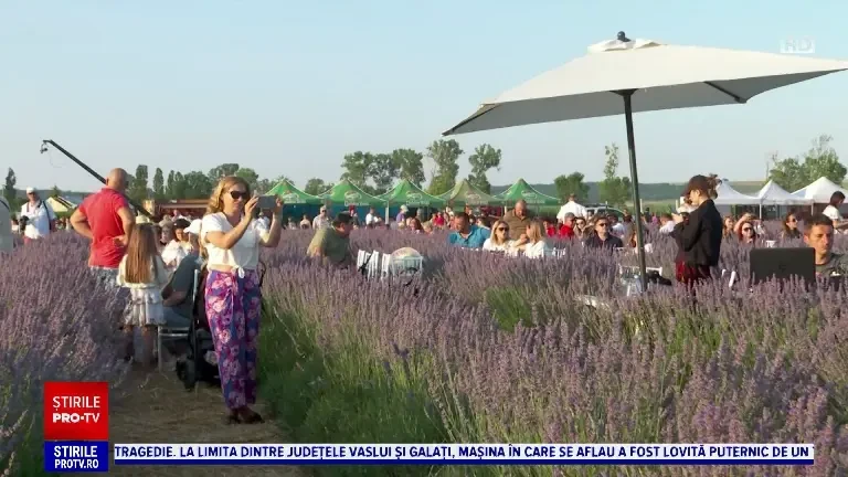 Festivalul lavandei. Sute de oameni s-au bucurat de o prezentare de modă și un concert de operă, într-un decor de vis