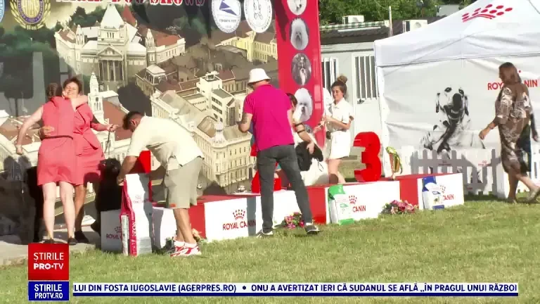 Aproape 3000 de câini din 157 de rase au participat la concursuri de frumusețe în Arad. Evenimentul a durat 3 zile