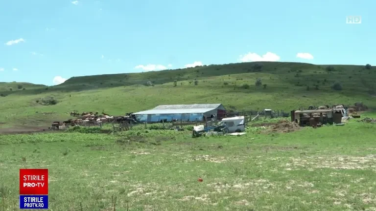 Alertă la o fermă din Iași. Trei persoane ar avea o boală infecţioasă gravă. Una a fost deja operată