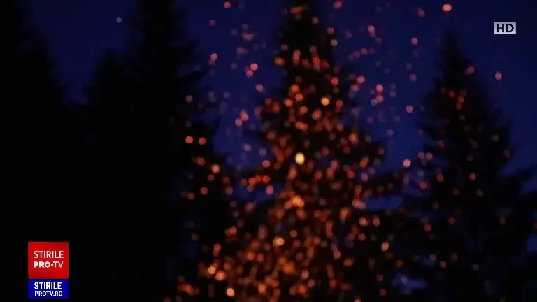 Tabere urbane pentru elevii talentați. Cât îi costă pe părinți să își trimită copiii la școli de vară