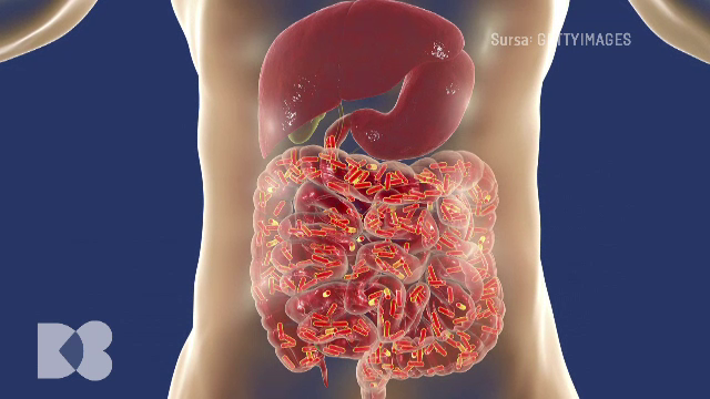 Beneficiile diversității alimentare. Are legătură nu doar cu greutatea normală, ci și cu echilibrul emoțional