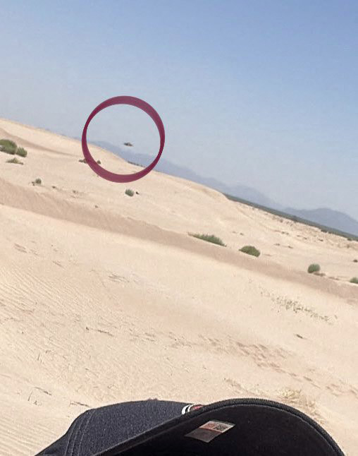 Un turist aflat în vacanță a fost șocat când a realizat ce a fotografiat de fapt după ce și-a făcut un selfie