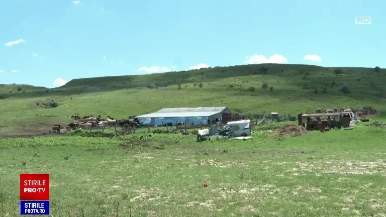 Cum ar fi luat antrax cei trei bărbați de la ferma din Iași. „Au fost găsite nouă cadavre de bovine”