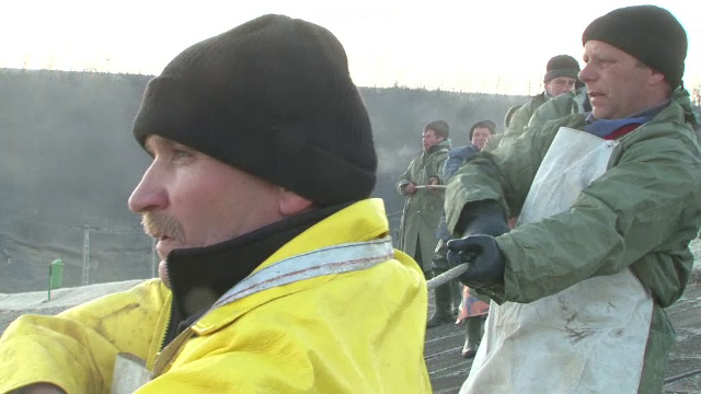 Piscicultorii români trebuie să dea înapoi zeci de milioane de euro, primiți cu acte în regulă de la UE: ”E o nebunie”