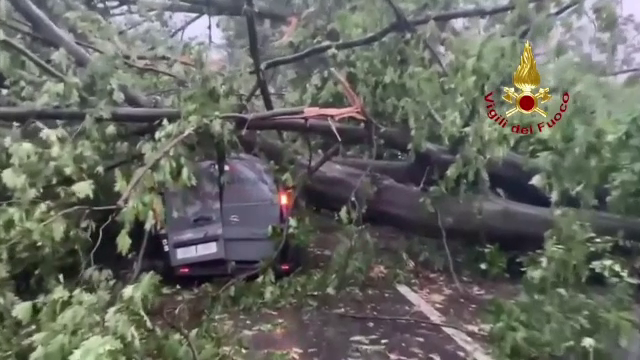 Vijeliile fac prăpăd în Europa. Din cauza caniculei și a aglomerației, unele magazine din Barcelona au pus taxă turiștilor