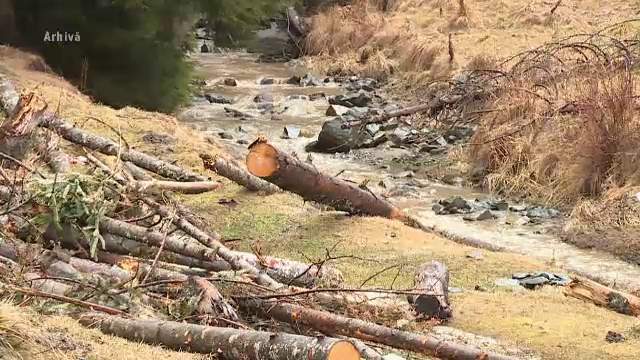 Comisia Europeană cere ca UE să refacă, până în 2030, cel puțin 20% din natura distrusă prin intervenția omului