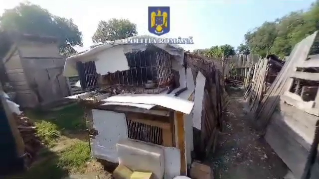 Cum își chinuia un bărbat din Hunedoara animalele din propria gospodărie. S-a ales cu dosar penal