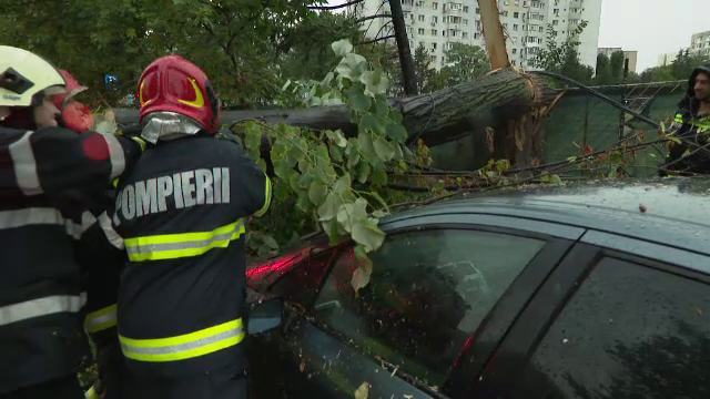 Vijelie puternică în București, zeci de mașini avariate de copaci. Ce a pățit un șofer care circula pe strada Veseliei