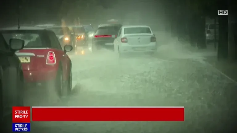 Vijelie puternică în București, zeci de mașini avariate de copaci. Ce a pățit un șofer care circula pe strada Veseliei