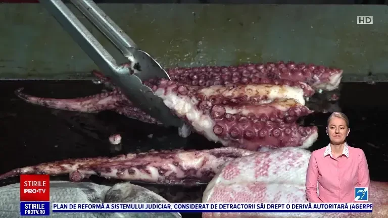 Fructele de mare au făcut senzație la Festivalul Mediteraneean. Cât ajunge să coste o porție în funcție de preparatul ales