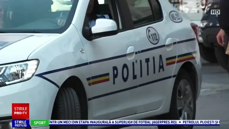 Zece câini înfometați și bolnavi, luați din curtea unui bărbat din Mureș. Voluntar: „Efectiv nu le găseam ochii