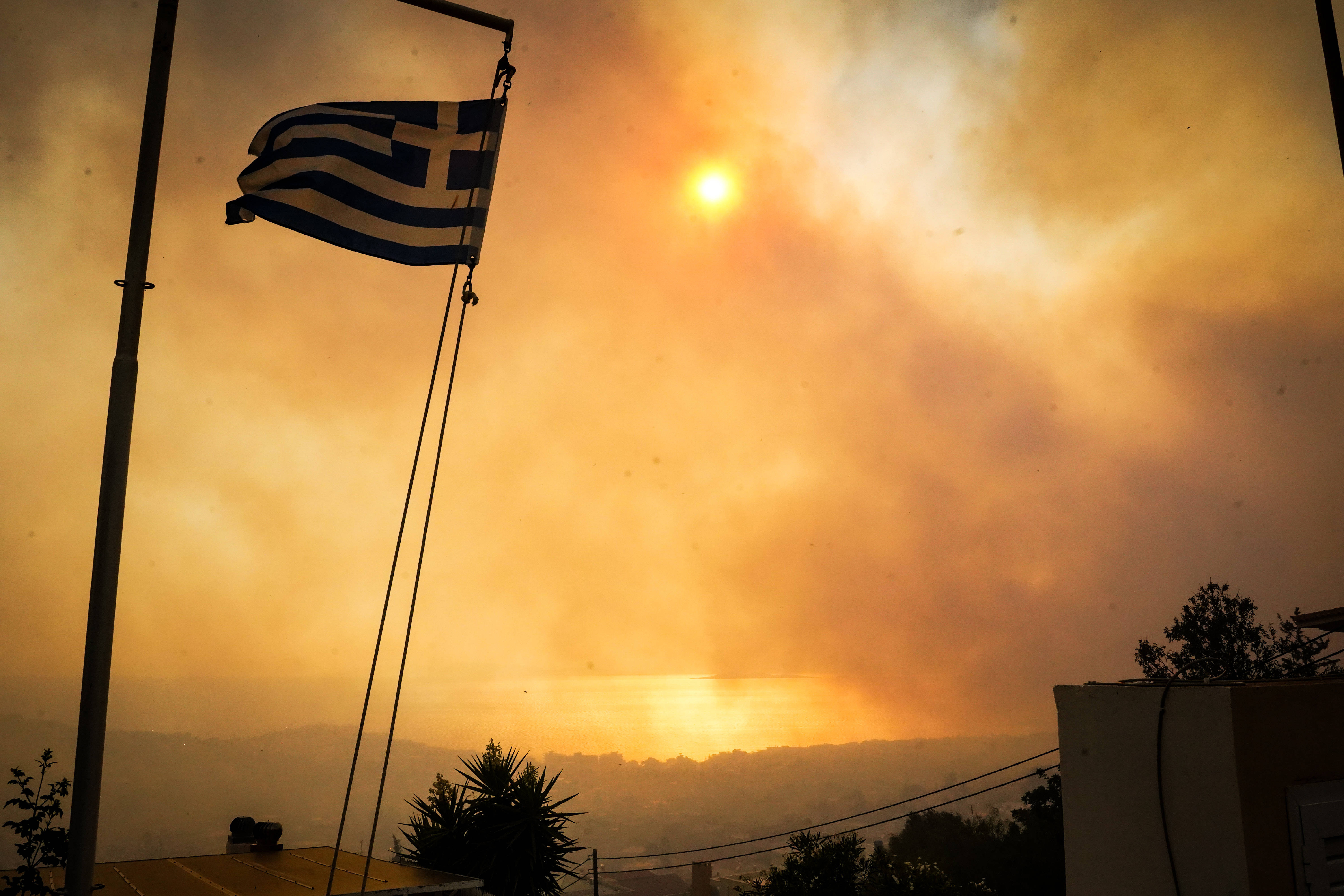 Un român arestat pentru provocarea unui incendiu devastator în Grecia a fost eliberat din lipsă de probe. Ce s-a întâmplat