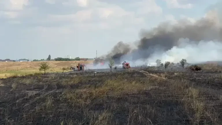 Incendiu masiv de vegetație în apropiere de București. Circulația rutieră a fost reluată| FOTO