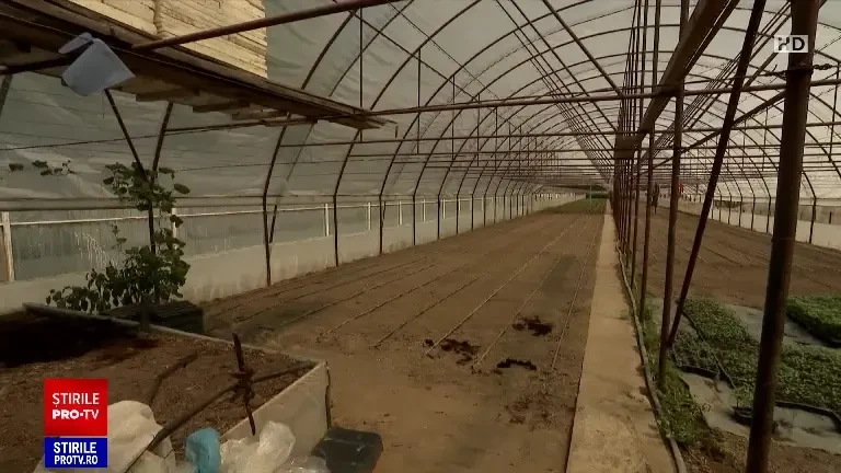 Agricultura și construcțiile, domeniile cele mai afectate de caniculă. Într-o seră temperatura urcă la 56 de grade