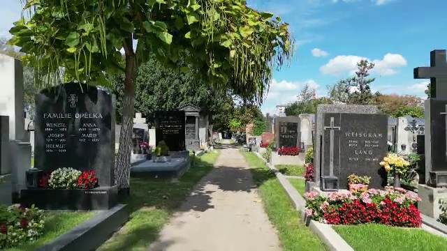 Un grădinar plantează roșii pe mormintele dintr-un cimitir din Austria. Ce spun localnicii