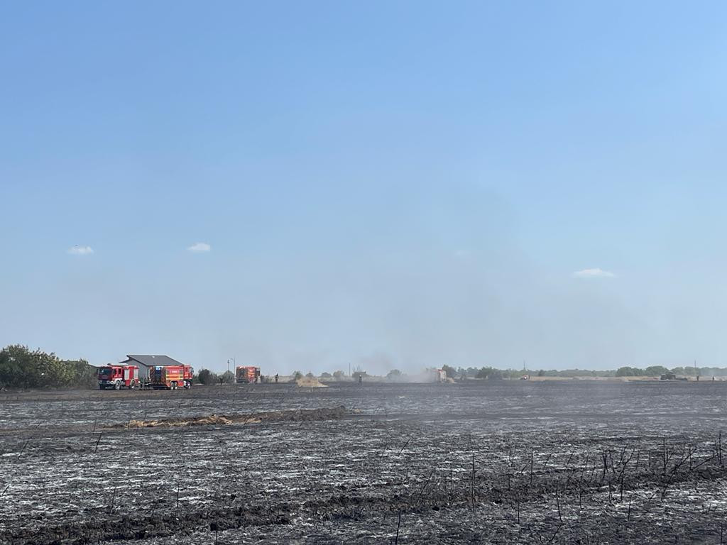 Incendii de vegetație în sectorul 5 al Capitalei și în Măgurele. Suprafața totală afectată este de 20 de hectare