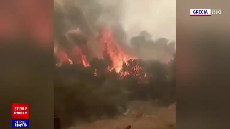 Stare de alertă în Europa din cauza caniculei. Pompierii încă se luptă cu incendiile din Grecia. „Sufăr enorm, simt că ard”